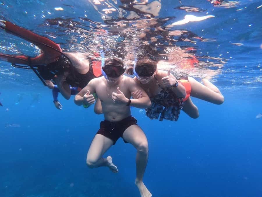 From Cozumel: Starfish, Stingrays and the Turtle Sanctuary - Price and logistics: good value for a port-day excursion