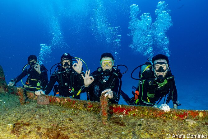 FunDiving in Cozumel - By Ferry - 2 Tanks in the wonderful Caribbean sea - Getting to Cozumel by Ferry: The 7:00 AM Rhythm