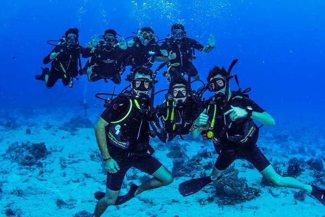 FunDiving in Cozumel - By Ferry - 2 Tanks in the wonderful Caribbean sea - Lunch Between Sessions and On-Board Comfort That Actually Helps