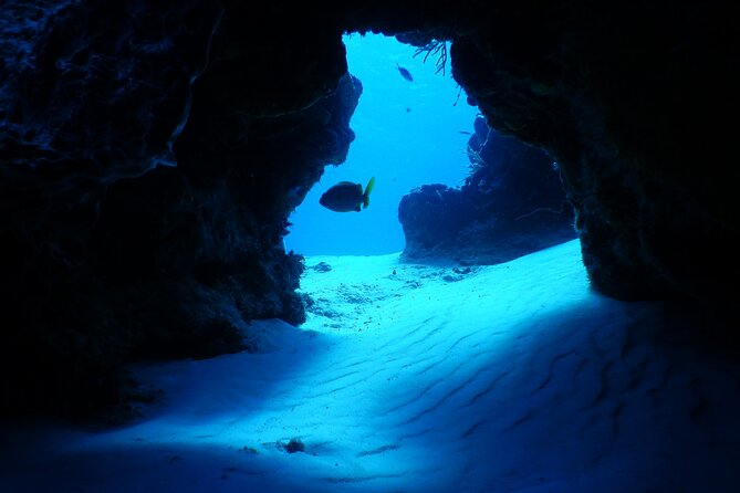 FunDiving in Cozumel - By Ferry - 2 Tanks in the wonderful Caribbean sea - Timing, Flight Rules, and How to Make the Day Fit Your Trip