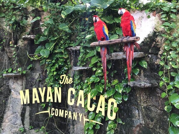 General Admission - Key highlights before you go