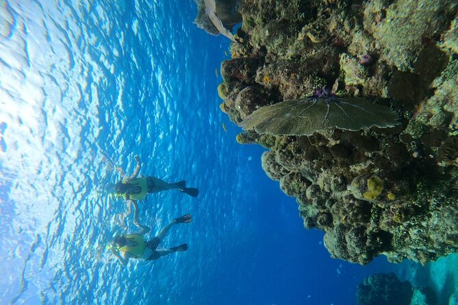 Get to know heaven on earth with Chivis del mar private - Gear, buoyancy help, and how the guides make it beginner-friendly