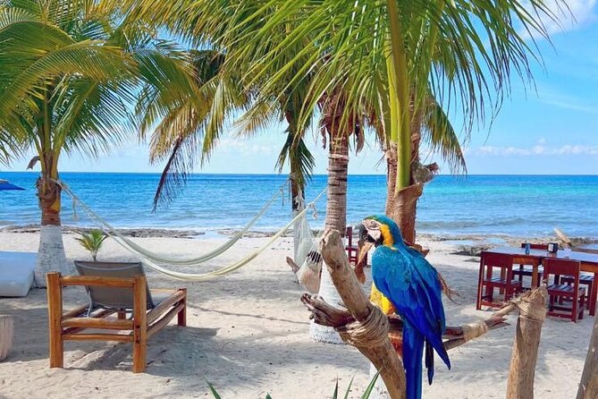 Half-Day Island Tour with Mayan Experience & Beach Break - Otoch Mayan Experience: Honey, Cacao, and a Purification Ritual