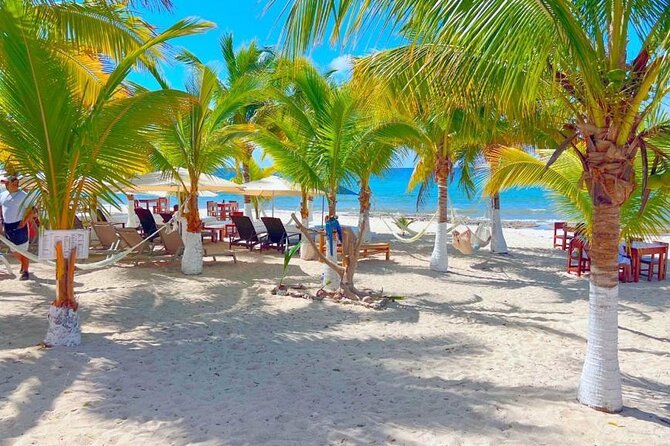 Half-Day Island Tour with Mayan Experience & Beach Break - Craft Tequila and Mexican Food Tastings: What You’re Paying For