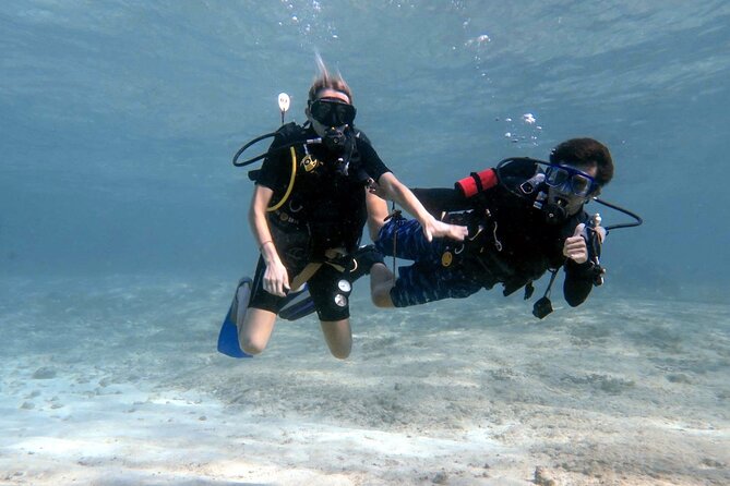Introductory Diving Class in the Cozumel Reefs - Key highlights you’ll feel on day one