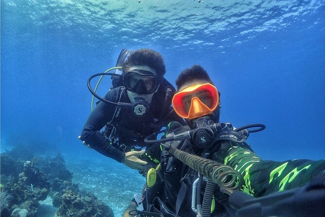 Introductory Diving Class in the Cozumel Reefs - First-Time Scuba in Cozumel: What the 5 Hours Are Really For