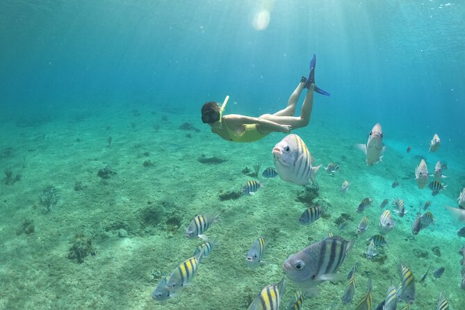 Invisible Boat Snorkeling Tour - Crew Personality: Professional, Friendly, and Sometimes the English Can Be Tricky