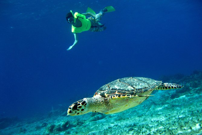 Island Flavors, Tequila & Beach Time - San Miguel de Cozumel and the Mayan Village Flavor Stop