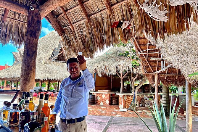 Island Tour in Cozumel, Mayan Show & Tacos - A 5-stop Cozumel day that mixes photos, culture, and splash time