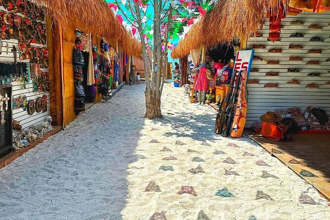 Island Tour in Cozumel, Mayan Show & Tacos - Hotel Hacienda Ixtlan tequila seminar: eight varieties in a short, friendly lesson