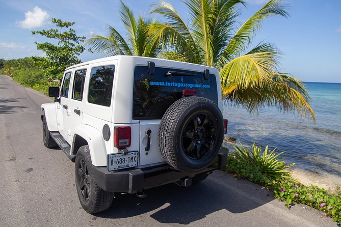 Jeep Exploration & All Inclusive Tortugas Beach Break (Private) - Should you book this Jeep Exploration & All Inclusive Tortugas Beach Break?