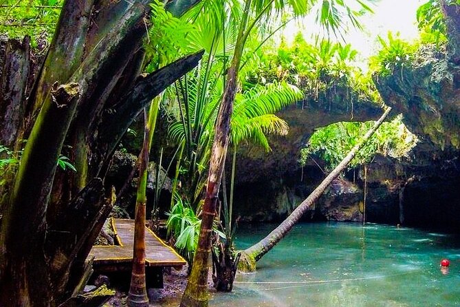 Jeep Safari All Inclusive Private Tour - Key Things That Make This Cozumel Jeep Safari Different