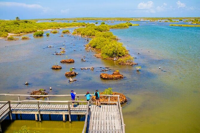 Jeep Safari All Inclusive Private Tour - Stop 2: Punta Sur Eco Park for Wildlife, Ruins, and Lighthouse Views