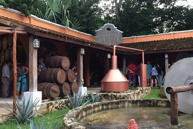 Jeep Tour of Cozumel with Lunch and Beach Club - Price and value: is $80.99 a smart deal?