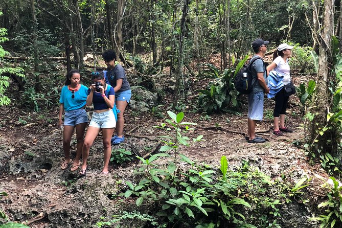Jungle Jeep Adventure to Mayan Caves, Cenote and Snorkel - Lunch and Food: What’s Included vs What You’ll Pay