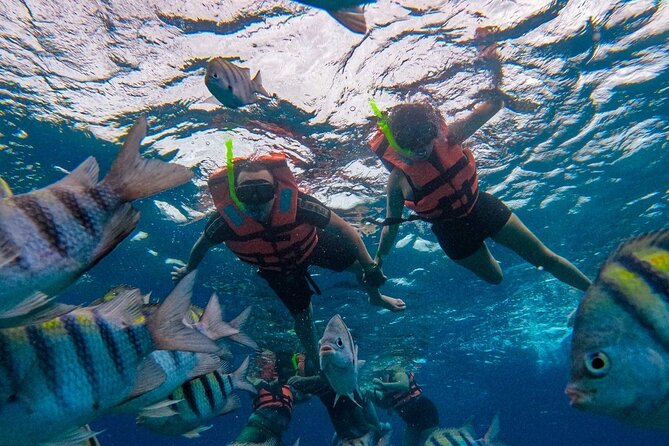 Magnificent Exploration to El Cielo Palancar and Columbia Reefs - Boat Time, Food, and Drinks: A Good-Day Rhythm