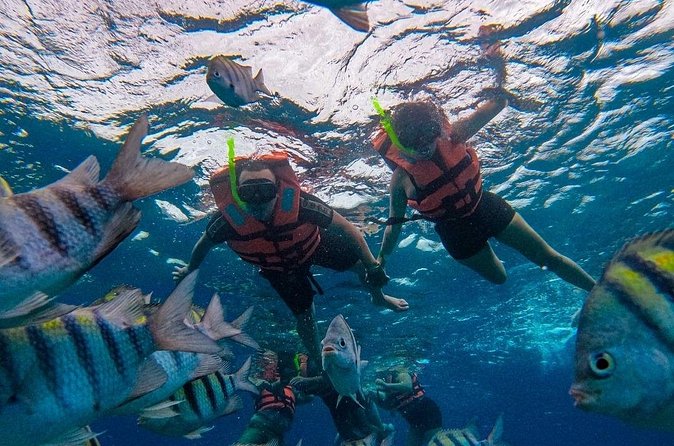 Magnificent Exploration to El Cielo Palancar and Columbia Reefs - Guide, Language, and Group Size: What to Expect Up Close