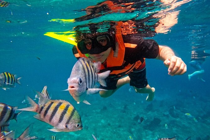 Magnificent Exploration to El Cielo Palancar and Columbia Reefs - Who This Tour Suits Best (and Who Might Prefer Another)