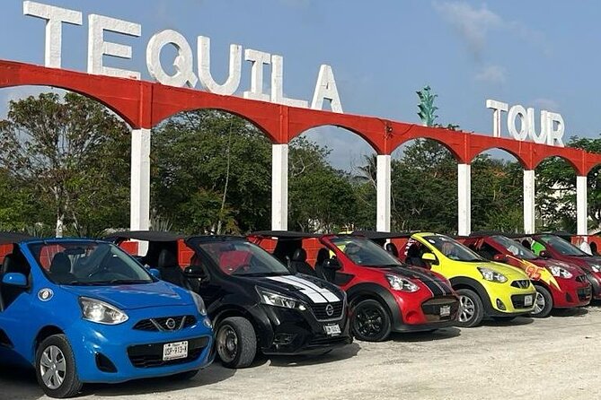 Mayan Adventure by Buggy : Explore Ruins & Culture Park - Key highlights before you go