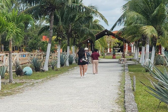 Mayan Adventure by Buggy : Explore Ruins & Culture Park - Alcohol and mobile tickets: small details, worth knowing