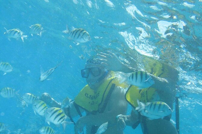 Mayan Ruins and Beach Time - Transportation and guide care: what “private” really feels like