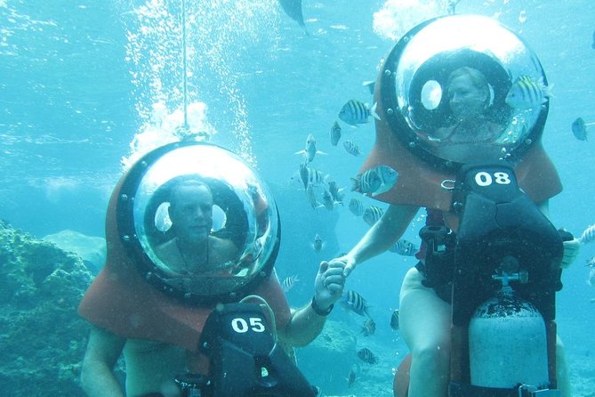 Mini-SUB Dive Tour from Cozumel - Parque Nacional Arrecifes de Cozumel: the reef fish list (and what else shows up)