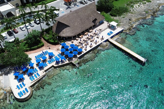 Money Bar All Inclusive Experience with Transportation - Key highlights if you like beach clubs with a plan