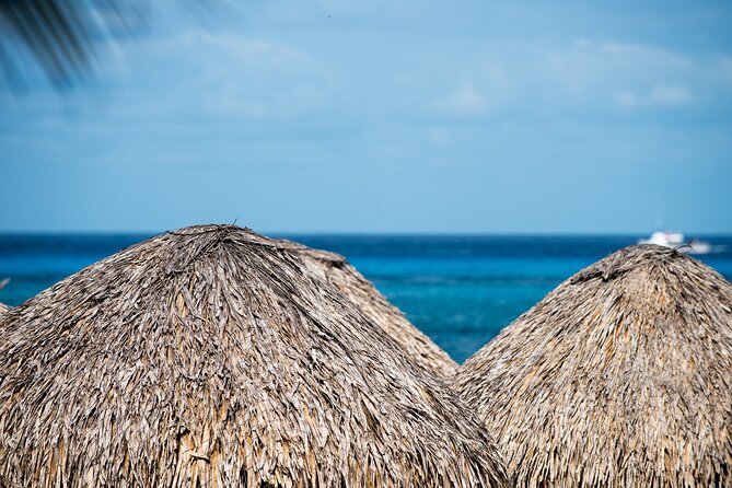 Mr. Sanchos Beach Club All-Inclusive Day Pass - Beachfront time, hammocks, and an escape plan when it gets crowded