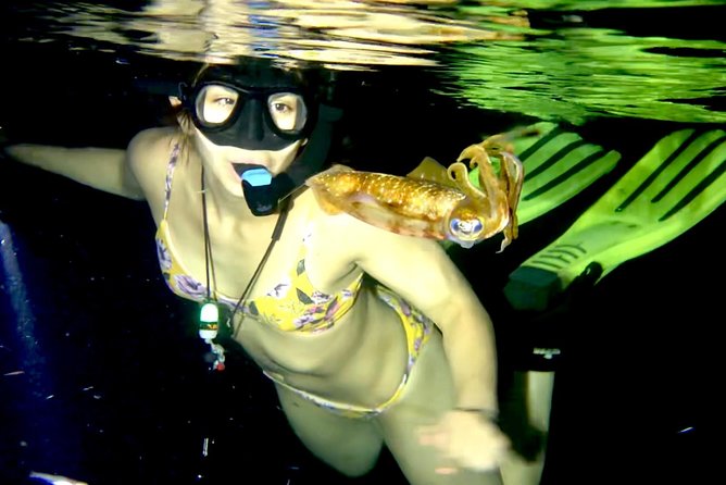 Night Snorkeling - Observation of octopus and other species - Money Bar Beach Club Start: The Real-World Logistics That Matter