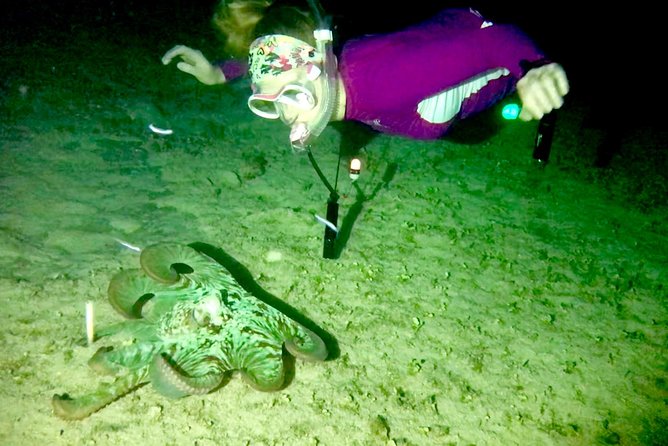 Night Snorkeling - Observation of octopus and other species - Safety First: How the Guide Helps You Move Without Panic