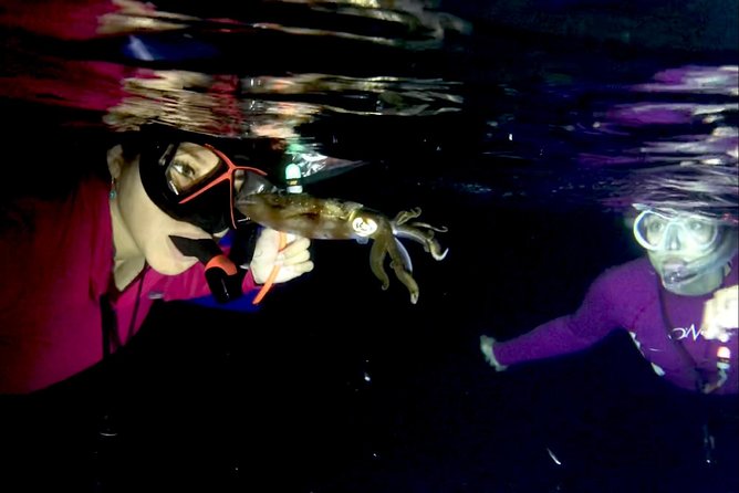 Night Snorkeling - Observation of octopus and other species - Who This Tour Fits Best (and Who Might Want a Different Plan)