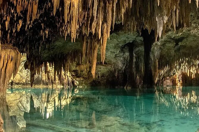 Off Road in Cozumel with ATVs, El Cedral Ruins and Cenote - The ATV ride: your own wheels on jungle terrain
