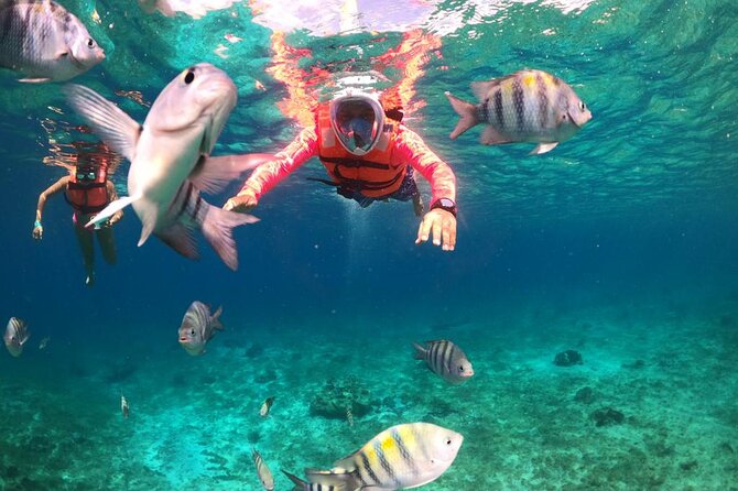 Official Chankanaab Park Day pass and Snorkel with Lunch included - The reef snorkel: near-shore barrier reef with guided help