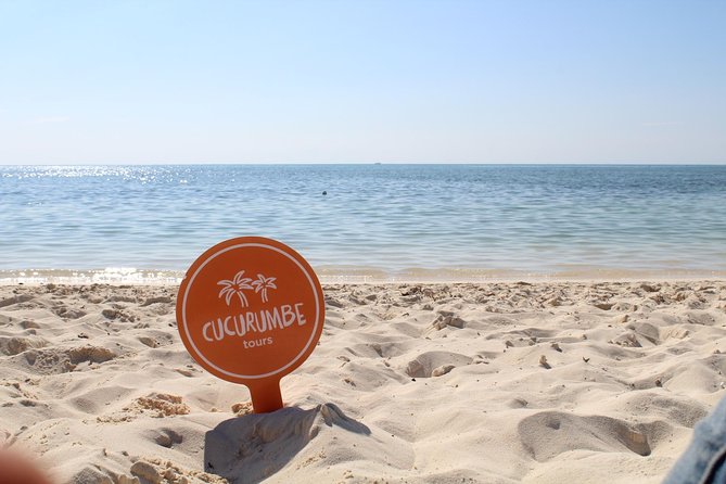 Official Chankanaab Park Day pass and Snorkel with Lunch included - Lunch by the shore: what’s included and what can feel limited