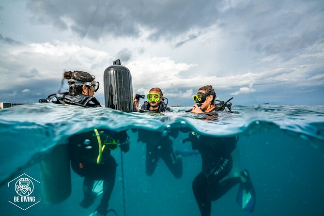 Open Water Course Cozumel - Marine conservation isn’t a sidebar here