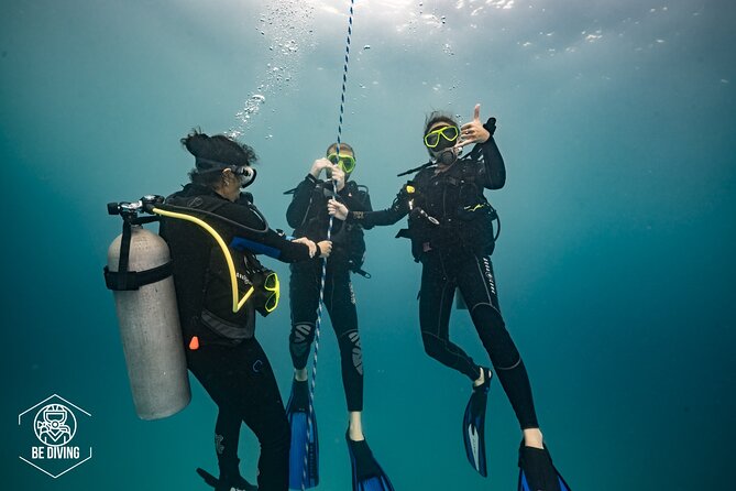 Open Water Course Cozumel - Instructors who teach control: Jon, John, Mariana, and Cata