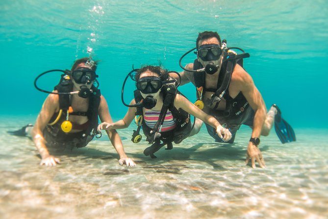 Open Water Course Cozumel - Gear basics: what you’ll learn to handle during the course