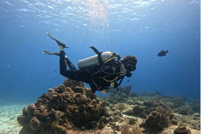 Open Water Diver Course - Key highlights you’ll feel quickly