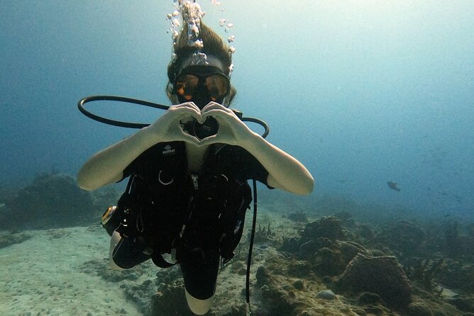 Open Water Diver Course - The 3-day rhythm: shore skills first, then the reef day