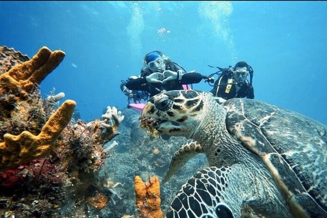 Open Water Diver Course - Weather matters more than your schedule