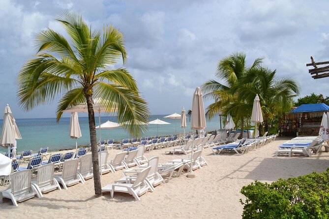 Playa Uvas Open Bar Exclusive Pass - Key Highlights Worth Planning Around