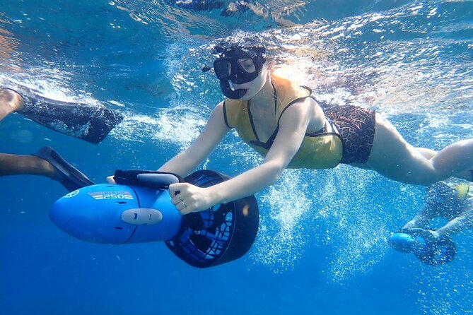 Power Snorkel By Sea Scooters & Tequila Tasting - Back on shore: cleanup and a lunch that feels local