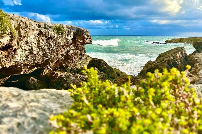 Private Buggy & ATV Tour to Jade Cavern Cenote: All-Inclusive - El Cedral culture stop: a quick taste of island life (Stop 2)