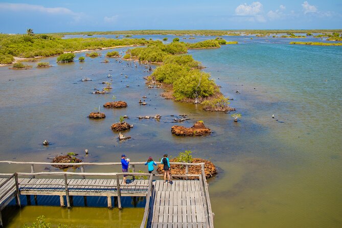 Private Buggy Tour and Punta Sur Park: All-Inclusive - Stop 1: Punta Sur Eco Beach Park and the Celarain Lighthouse climb