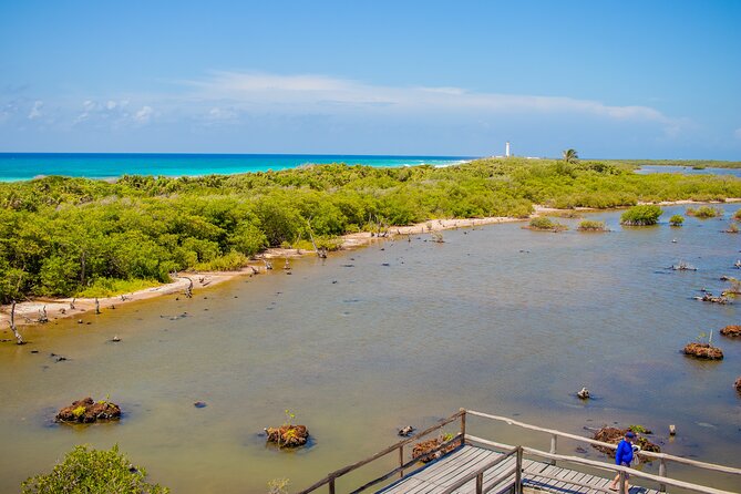 Private Buggy Tour and Punta Sur Park: All-Inclusive - Stop 5: Coco’s Beach Club lunch, snorkel gear, and paddle board time