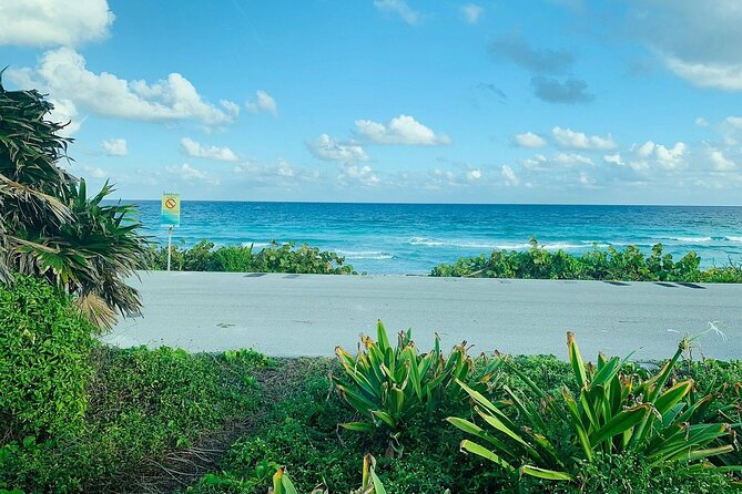 Private Buggy Tour in Cozumel, Snorkel & Lunch: All Inclusive - Price and Value: What $85.99 Buys You in the Real World