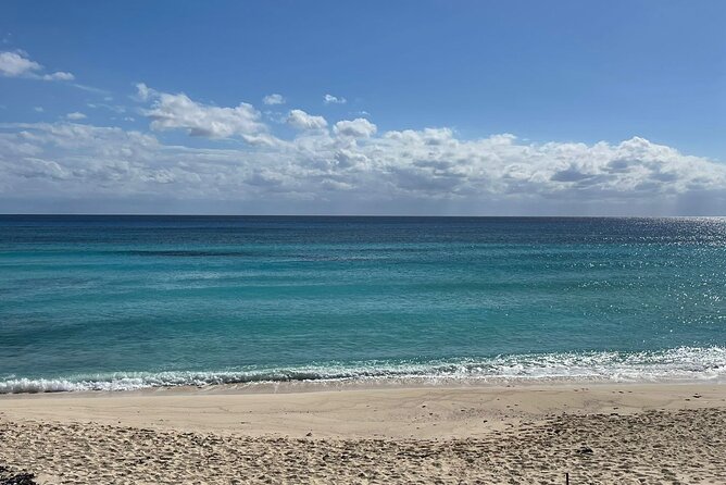 Private Cozumel Island Tour – Perfect Cruise Shore Excursion - Getting picked up: how you’ll find your guide and stay on schedule