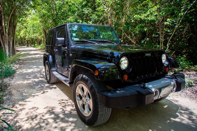 Private Cozumel Jeep and Jade Cavern Cenote Tour - Quick reasons this tour usually hits the mark