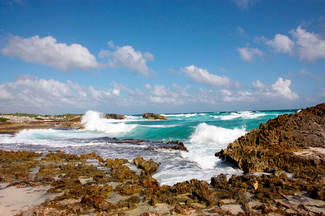 Private Cozumel Jeep and Jade Cavern Cenote Tour - Hotel Hacienda Ixtlan: chocolate tasting and a tequila seminar with multiple styles