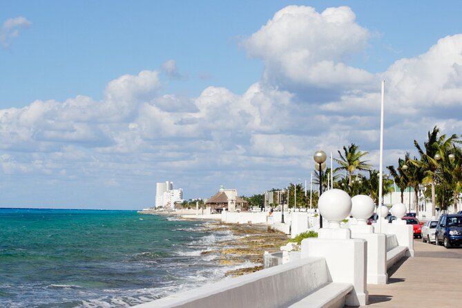 Private Jeep and 4x4 Polaris RZR Tour with Mexican Lunch - Coco’s Beach Club lunch: tacos or fajitas with pool-time